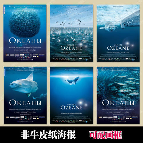 办个武术协会段位证书多少钱